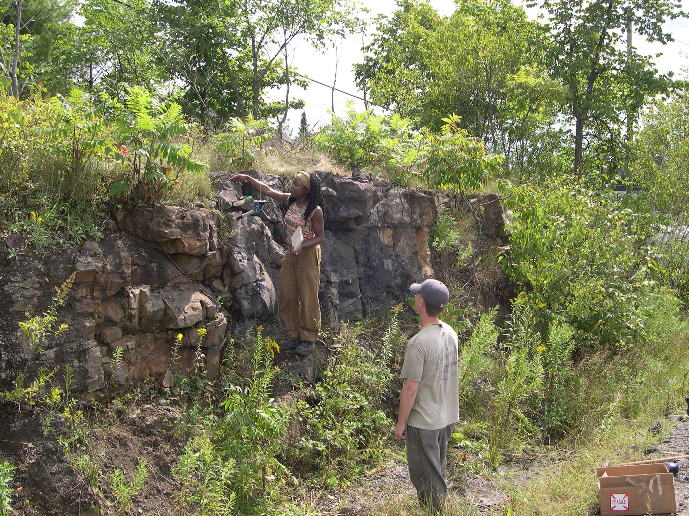 Sainte Sophie Diabase Dykes